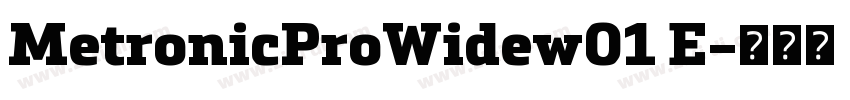 MetronicProWidew01 E字体转换